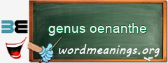 WordMeaning blackboard for genus oenanthe